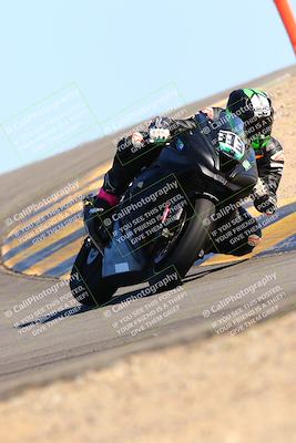 media/Feb-12-2022-SoCal Trackdays (Sat) [[3b21b94a56]]/Turn 12 (140pm)/